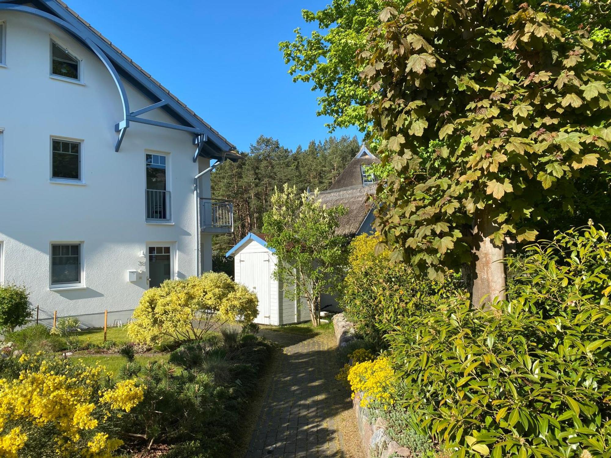 Duenenresidenz Karlshagen - Ferienwohnung Ginsterweg Exterior photo